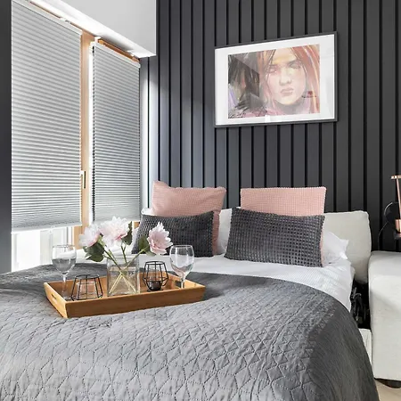 Black And Grey For 2 People In Center By Renters Apartment *
