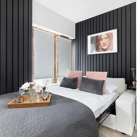 Black And Grey For 2 People In Center By Renters * Lublin