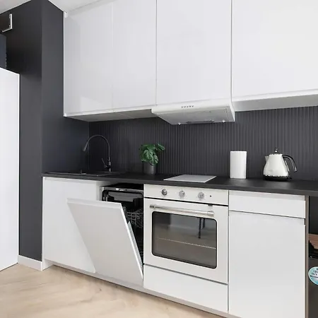 Apartment Black And Grey For 2 People In Center By Renters